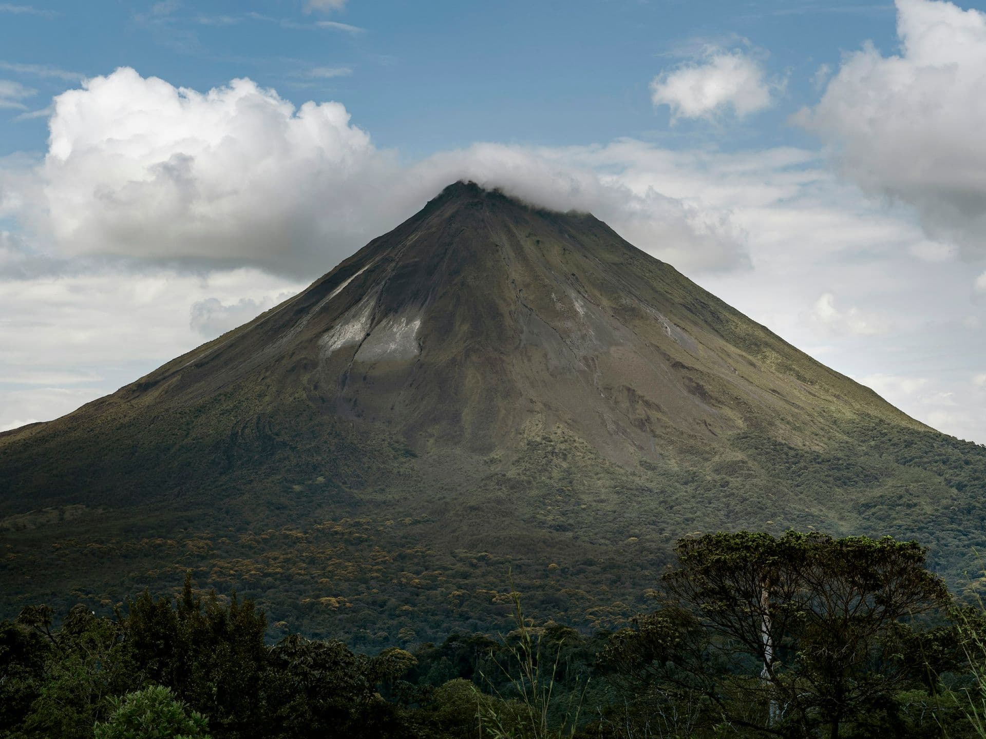 The cone of Arenal Volcano above the forest, its summit in cloud