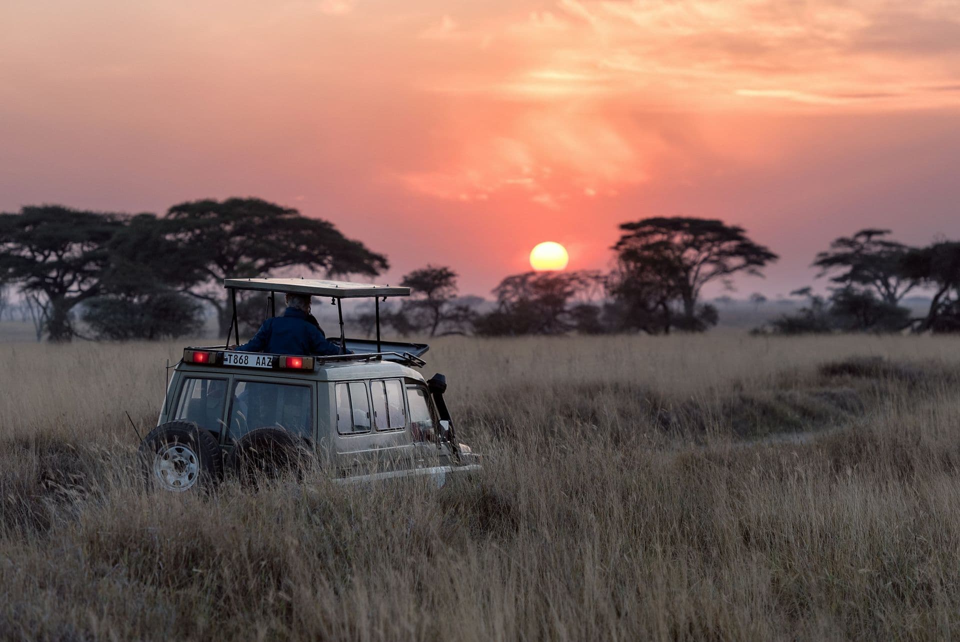 A safari jeep in tall grass beneath acacia trees at sunset